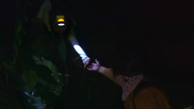 Imagen de Beyond Utopia - 14