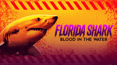 Imagen de Tiburones en Florida  - 2