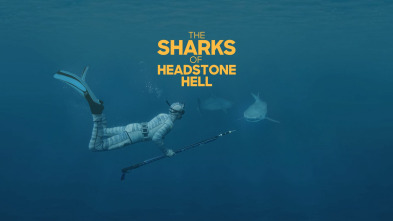 Imagen de Los tiburones de Headstone Hell - 2