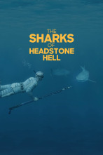 Imagen de Los tiburones de Headstone Hell - 1