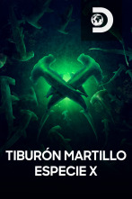 Tiburón martillo: especie X