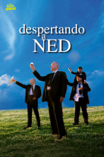 Imagen de Despertando a Ned - 1
