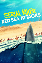 Imagen de Tiburón asesino en el Mar Rojo - 1