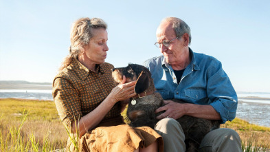 Imagen de Olive Kitteridge (T1): Ep.3 A Different Road - 2