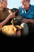 Imagen de Olive Kitteridge (T1): Ep.3 A Different Road - 1