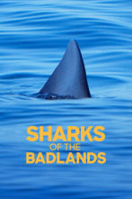 Imagen de Defensa contra tiburones - 1