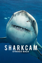 Imagen de Sharkcam: Mejores momentos - 1