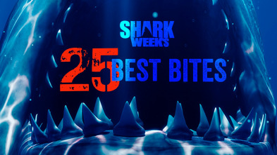 Imagen de Tiburones: cincuenta momentos impactantes - 2