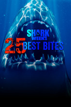 Imagen de Tiburones: cincuenta momentos impactantes - 1