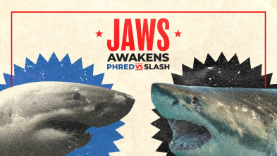 Imagen de Batalla de tiburones: Phred vs. Slash - 2