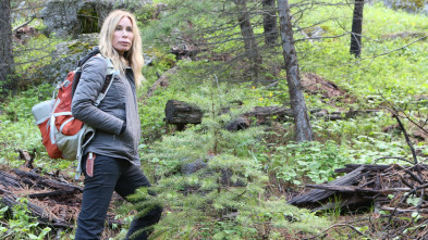 Imagen de Expedition Bigfoot (T1): ¿Escuchaste eso? - 2