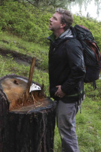 Imagen de Expedition Bigfoot (T1): Cebo humano - 1