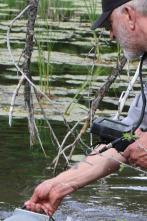 Imagen de Expedition Bigfoot (T1): Sabe que estamos aquí - 1