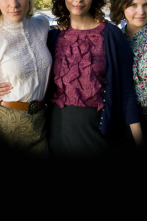 Imagen de Big Love (T4): Ep.6 Bajo el mismo techo - 1