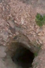 Imagen de Terror en el... (T1): Un sitio para los muertos - 1