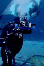 Imagen de The Aquarium (T2): La gran aventura de Bacon y Tomate - 1