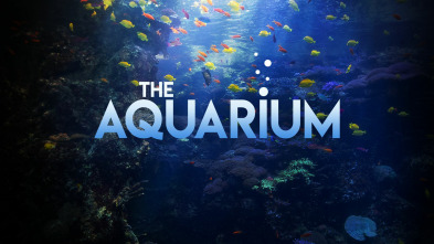 Imagen de The Aquarium (T2) - 2