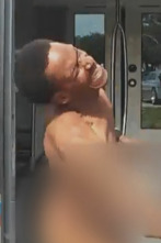 Imagen de Delincuentes al...: Soportar el caos - 1