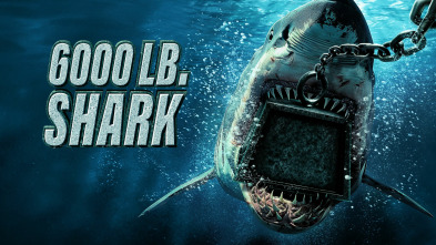 Imagen de Tiburones de 3.000 kilos - 2