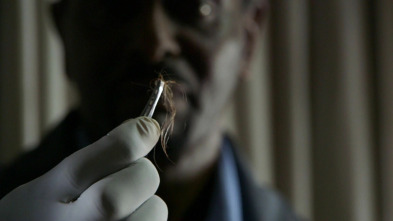 Imagen de Hasta que la muerte...: Retorcida y enferma - 2