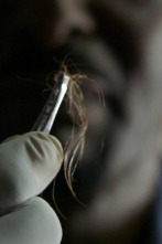 Imagen de Hasta que la muerte...: Retorcida y enferma - 1