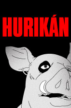 Imagen de Hurikán - 1