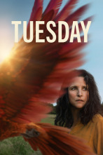 Imagen de Tuesday - 1