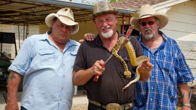 República Reptil,...: Fiebre de serpientes de cascabel