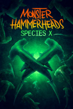 Imagen de Tiburón martillo: especie X - 1