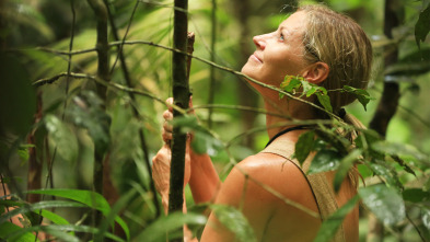 Aventura en pelotas,...: Los peligros de la Amazonia