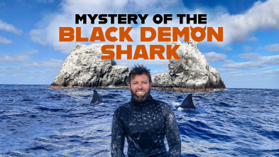 Imagen de Demonio negro, el tiburón - 2