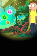Imagen de Rick y Morty (T2): Ep.2 Huída a Mortynoche - 1