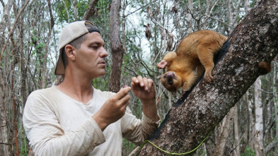 Imagen de Wild Frank México: Ep.4 - 2