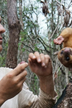Imagen de Wild Frank México: Ep.4 - 1