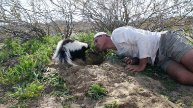 Imagen de Wild Frank en California: Ep.2 - 2