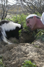 Imagen de Wild Frank en California: Ep.2 - 1