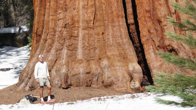 Imagen de Wild Frank en California: Ep.3 - 2