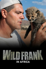 Wild Frank en África 