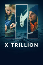 Imagen de X Trillion - 1