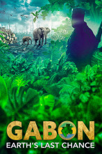 Gabon: Wildlife Warriors