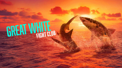 Imagen de Tiburón blanco: el club de la lucha - 2