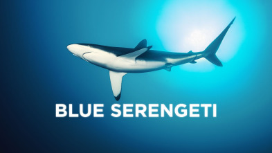 Blue Serengeti