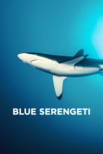 Imagen de Blue Serengeti - 1