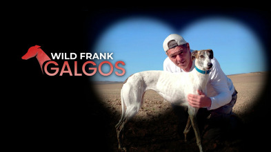 Imagen de Wild Frank: Galgos - 2