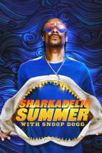 Imagen de El verano perfecto de los tiburones - 1