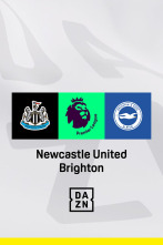 Jornada 8: Newcastle - Brighton & Hove Albion