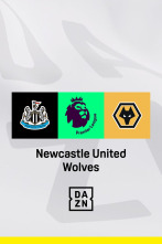 Jornada 21: Newcastle - Wolverhampton