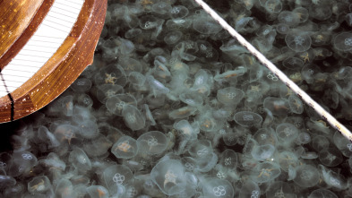 Imagen de Misterios de las... (T2): Misterios del destructor submarino - 2