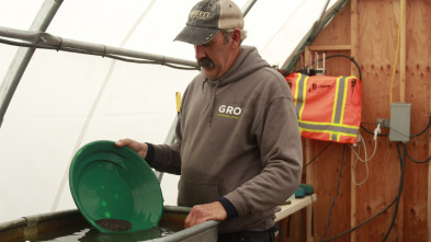 Imagen de Los Hoffman: oro... (T2): El embrague de la familia Hoffman - 2