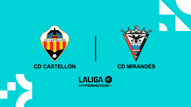 Jornada 15: Castellón - Mirandés